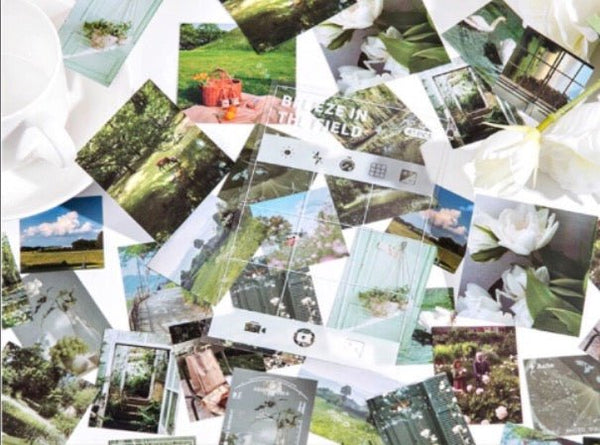 Aesthetic Color Themed Film Stickers - Obsession Designs Co.