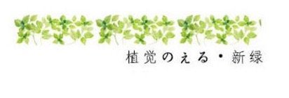 Leaf Pattern Washi Tape - Obsession Designs Co.