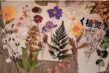 Retro Dried Flowers PET Sticker - Obsession Designs Co.