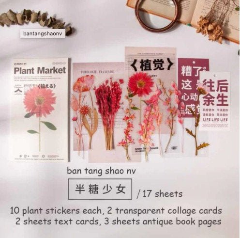 Retro Dried Flowers PET Sticker - Obsession Designs Co.
