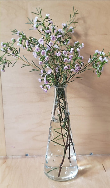 Simple Aesthetic Glass Vase/ Bottle / Home Decor - Obsession Designs Co.