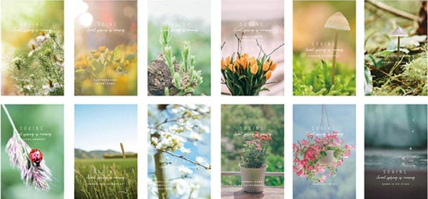 Spring Time Mood Aesthetic - Large LOMO Card for Scrapbooking - Obsession Designs Co.